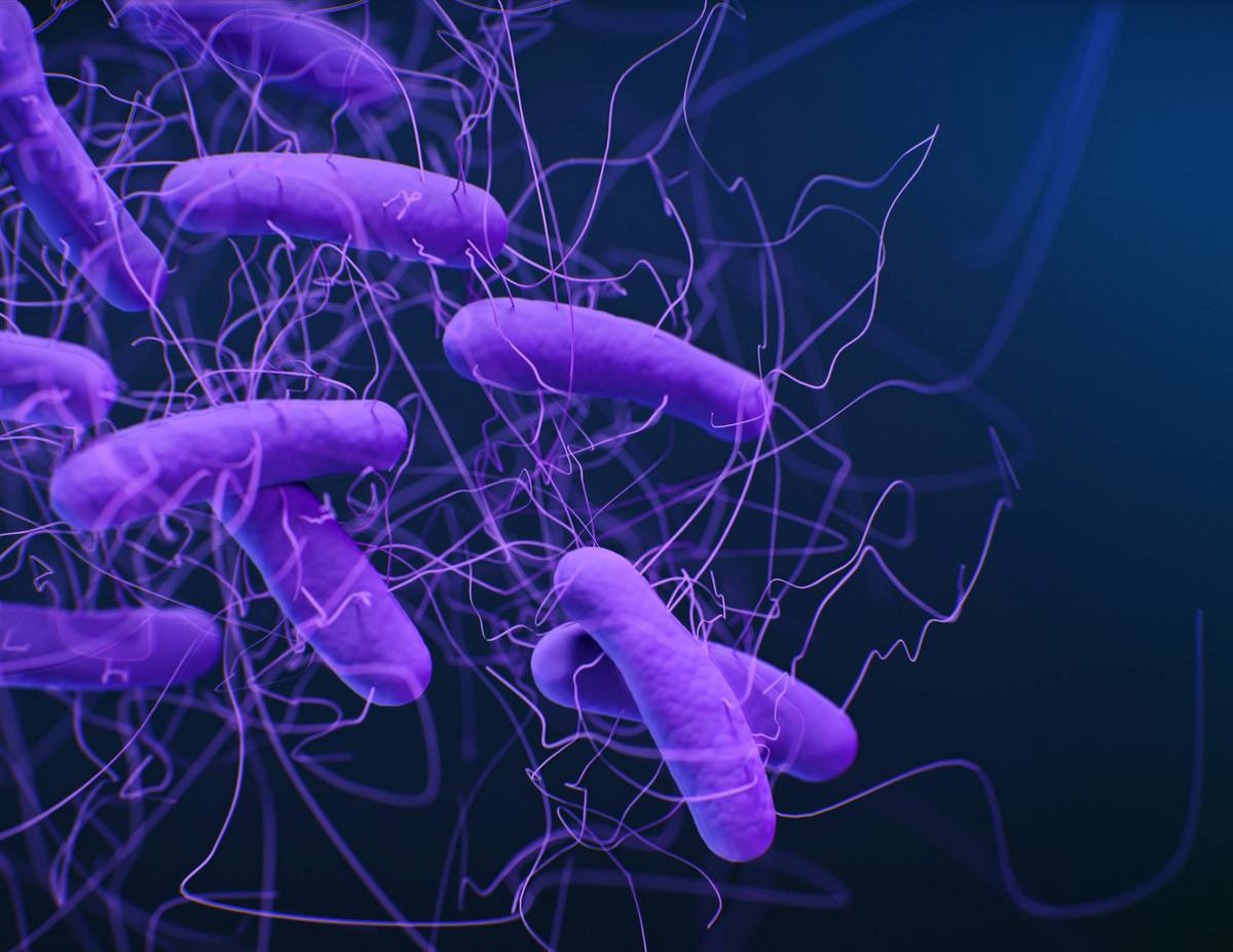 Gut biome booster digestive how would illustrated with diverse plant foods and probiotic capsule