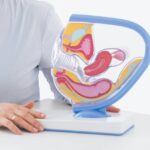 Gut Biome Booster Digestive Microbiome Evolution: 7 Proven Ways to Avoid Painful Mistakes
