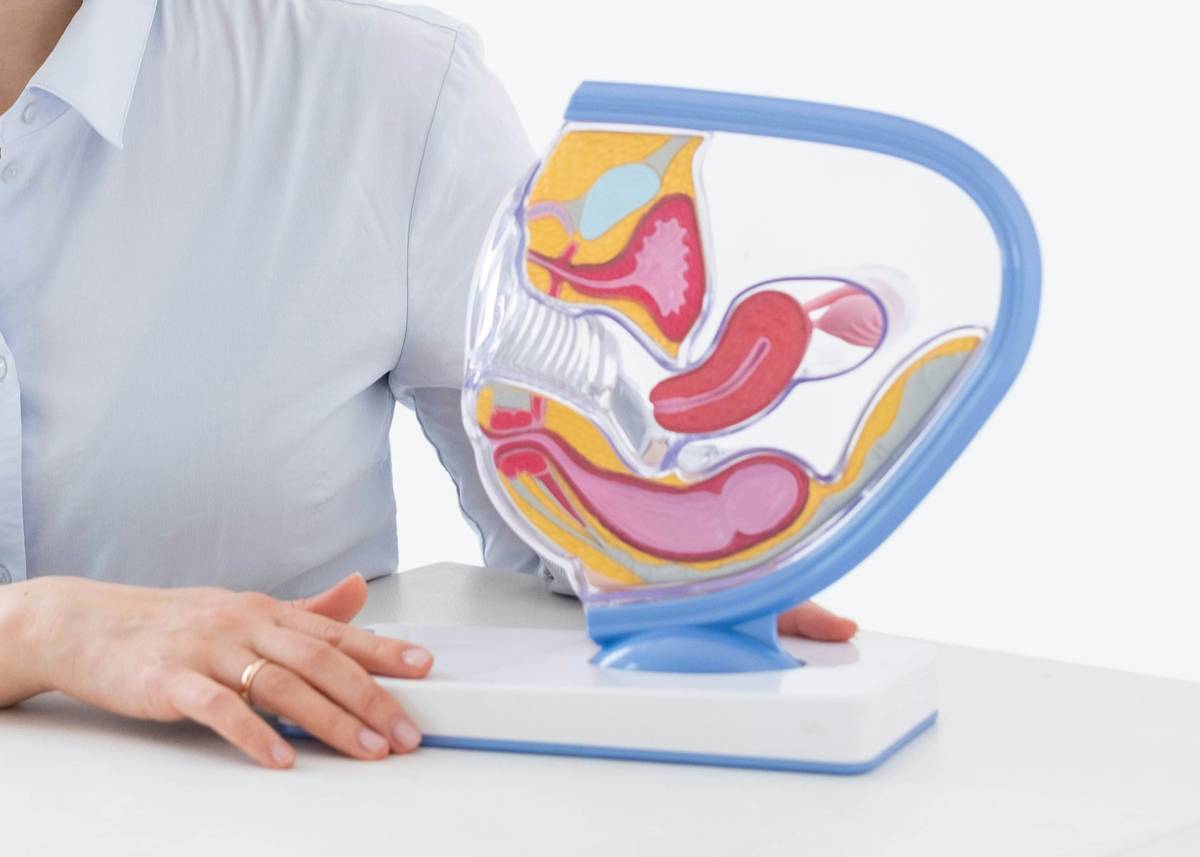 Gut Biome Booster Digestive Microbiome Evolution: 7 Proven Ways to Avoid Painful Mistakes